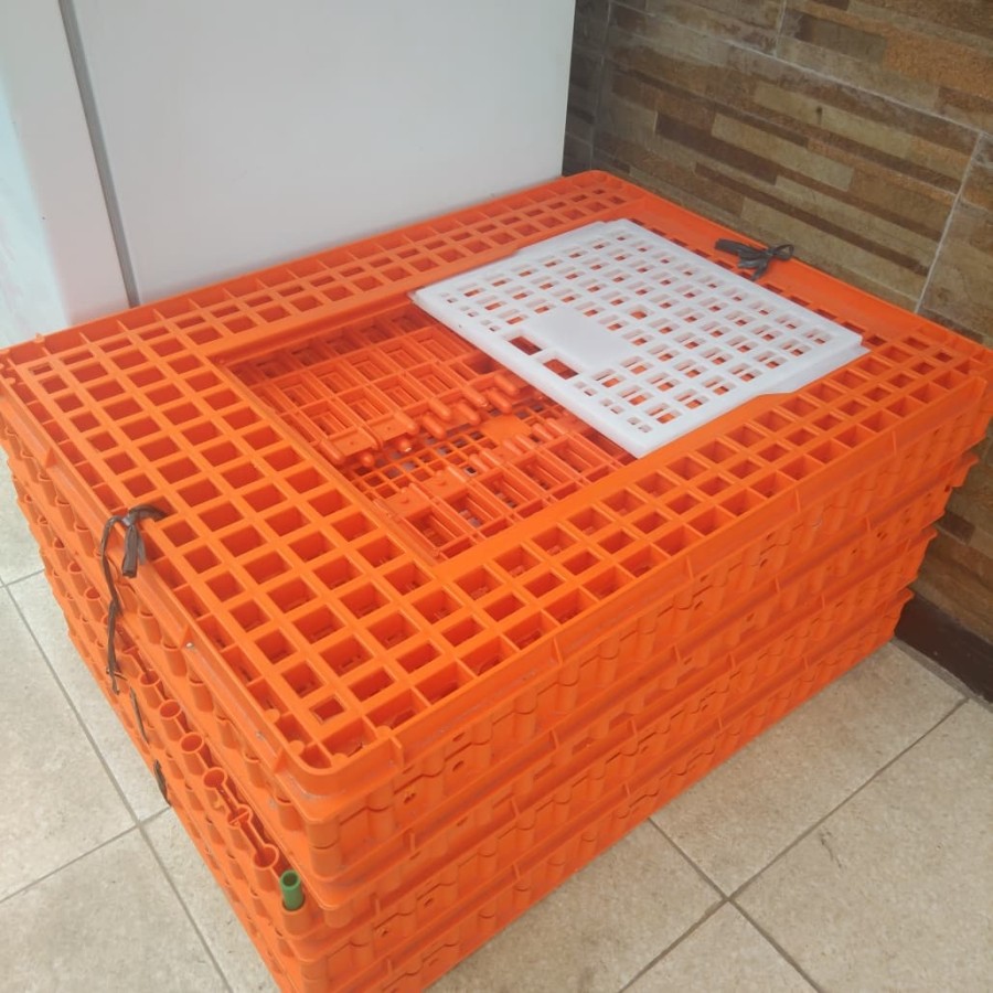 748563621_a1cccde2-4f77-47d9-8c3b-c9388862e5a6_1028_1028